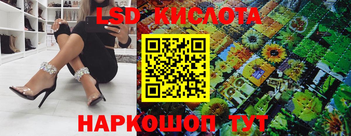 где можно купить   Марки NBOMe 1,8мг  Вход с VPN  Новозыбков 