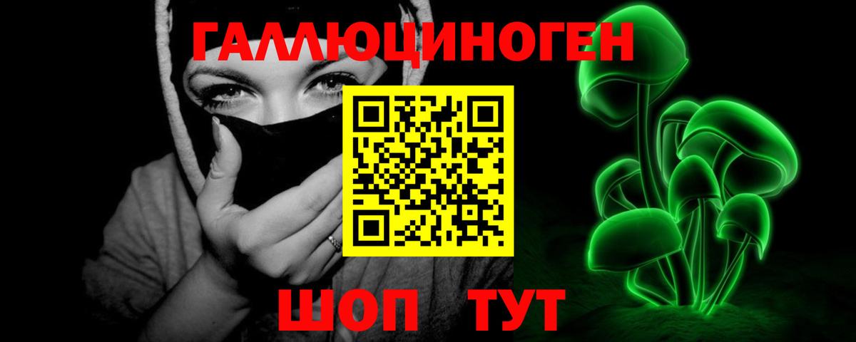 Галлюциногенные грибы Psilocybe  наркота  Новозыбков  Вход с VPN  Галлюциногенные грибы прущие грибы 